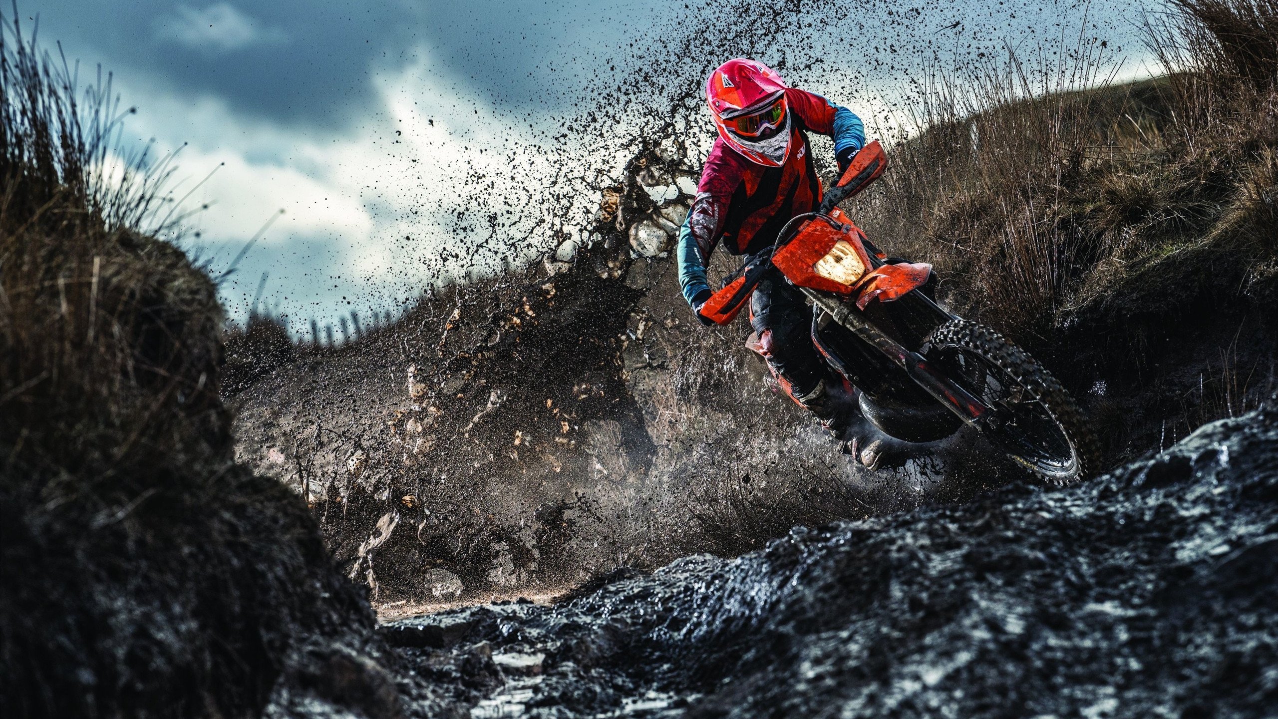 粉丝互动：WRC粉丝的现场激情与热血瞬间，粉丝互动游戏有哪些